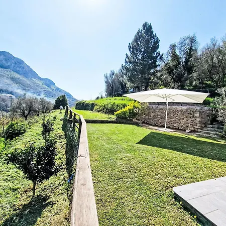 Le Radici Dell'ulivo By Interhome Calice Ligure