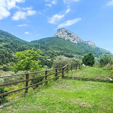 Le Radici Dell'ulivo By Interhome * Calice Ligure