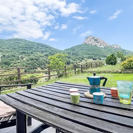 Le Radici Dell'ulivo By Interhome * Calice Ligure